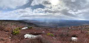 Pictures from the NYNJYC Long Path Section 14