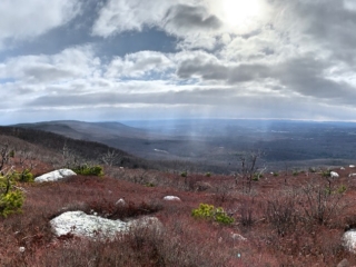 Long Path Trail Pictures