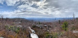 Pictures from the NYNJYC Long Path Section 14