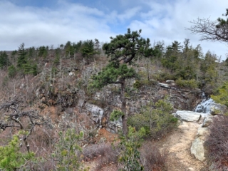 Long Path Trail Photo Galleries