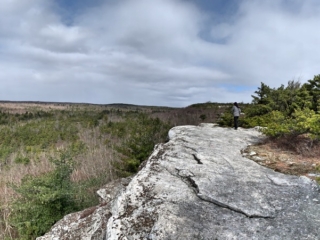 Long Path Trail Photo Galleries