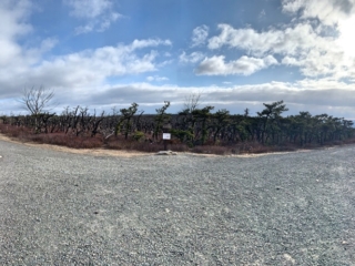 Long Path Trail Pictures