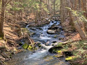 Pictures from the NYNJYC Long Path Section 15