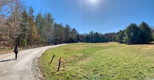 Pictures from the NYNJYC Long Path Section 15