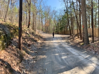 Long Path Trail Images