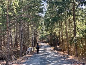 Pictures from the NYNJYC Long Path Section 15