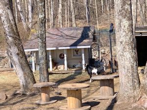 Pictures from the NYNJYC Long Path Section 15