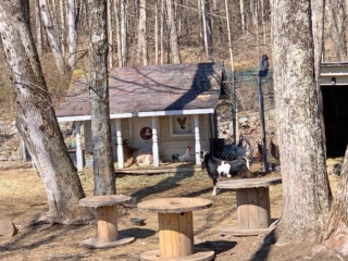 Long Path Section 15 Pictures