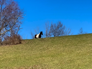 Long Path Trail Images
