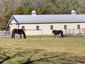 Pictures from the NYNJYC Long Path Section 15
