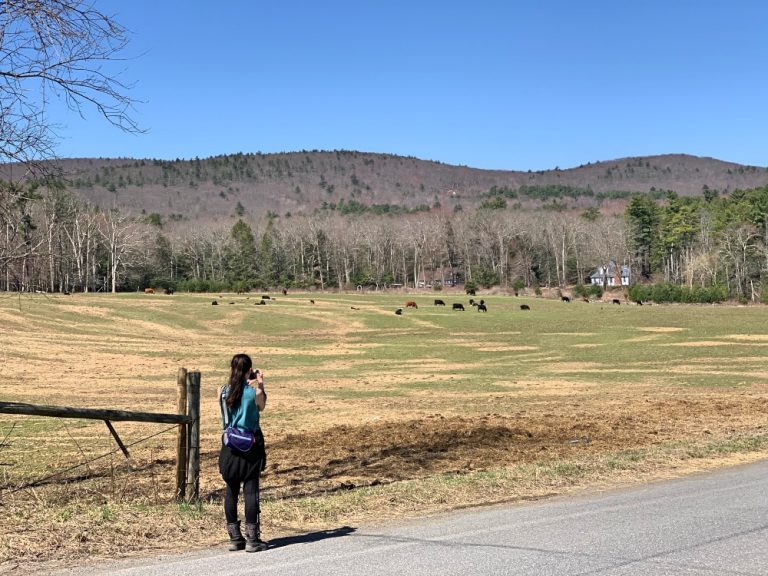 Long Path Trail Images