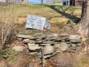 Pictures from the NYNJYC Long Path Section 15