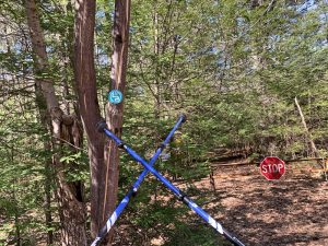 Pictures from the NYNJYC Long Path Section 15