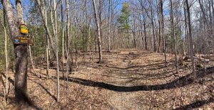 Pictures from the NYNJYC Long Path Section 16