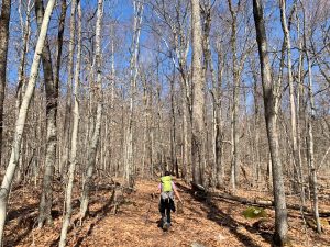 Pictures from the NYNJYC Long Path Section 16