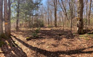 Pictures from the NYNJYC Long Path Section 16