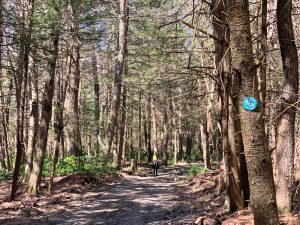 Pictures from the NYNJYC Long Path Section 16