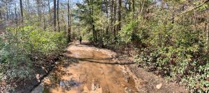 Pictures from the NYNJYC Long Path Section 16