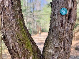 Pictures from the NYNJYC Long Path Section 16