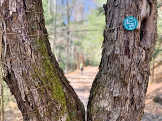 Long Path Section 16 Images