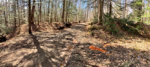 Pictures from the NYNJYC Long Path Section 16