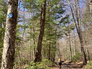 Pictures from the NYNJYC Long Path Section 16