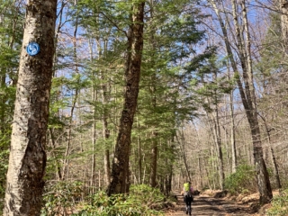 Long Path Section 16 Images