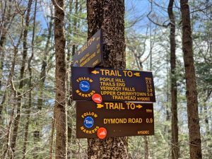 Pictures from the NYNJYC Long Path Section 16