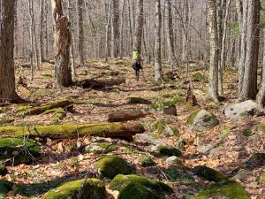 Pictures from the NYNJYC Long Path Section 16