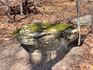 Pictures from the NYNJYC Long Path Section 16