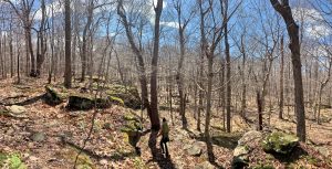 Pictures from the NYNJYC Long Path Section 16