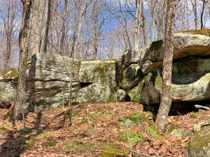 Pictures from the NYNJYC Long Path Section 16