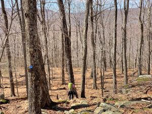 Pictures from the NYNJYC Long Path Section 16