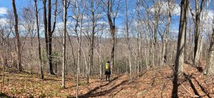 Pictures from the NYNJYC Long Path Section 16