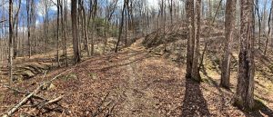 Pictures from the NYNJYC Long Path Section 16