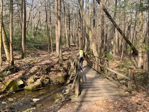 Pictures from the NYNJYC Long Path Section 16