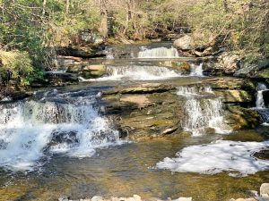 Pictures from the NYNJYC Long Path Section 16