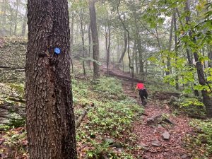 Pictures from the NYNJYC Long Path Section 17