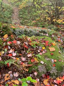 Pictures from the NYNJYC Long Path Section 17