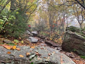 Pictures from the NYNJYC Long Path Section 17