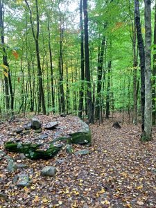 Pictures from the NYNJYC Long Path Section 17