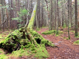 Long Path Trail Section 17 Images