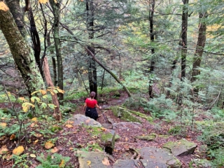 Long Path Trail Section 17 Images