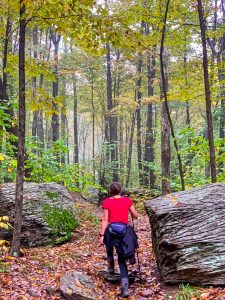 Pictures from the NYNJYC Long Path Section 17