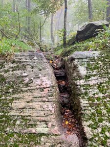 Pictures from the NYNJYC Long Path Section 17