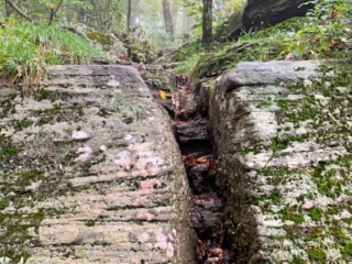 Long Path Section 17 Pictures