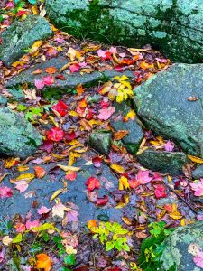 Pictures from the NYNJYC Long Path Section 17