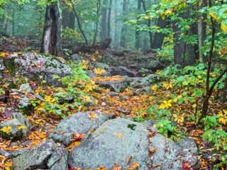 Long Path Section 17 Pictures