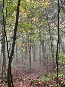 Pictures from the NYNJYC Long Path Section 17