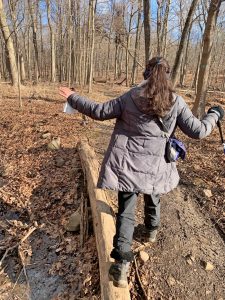 Pictures from the NYNJYC Long Path Section 2